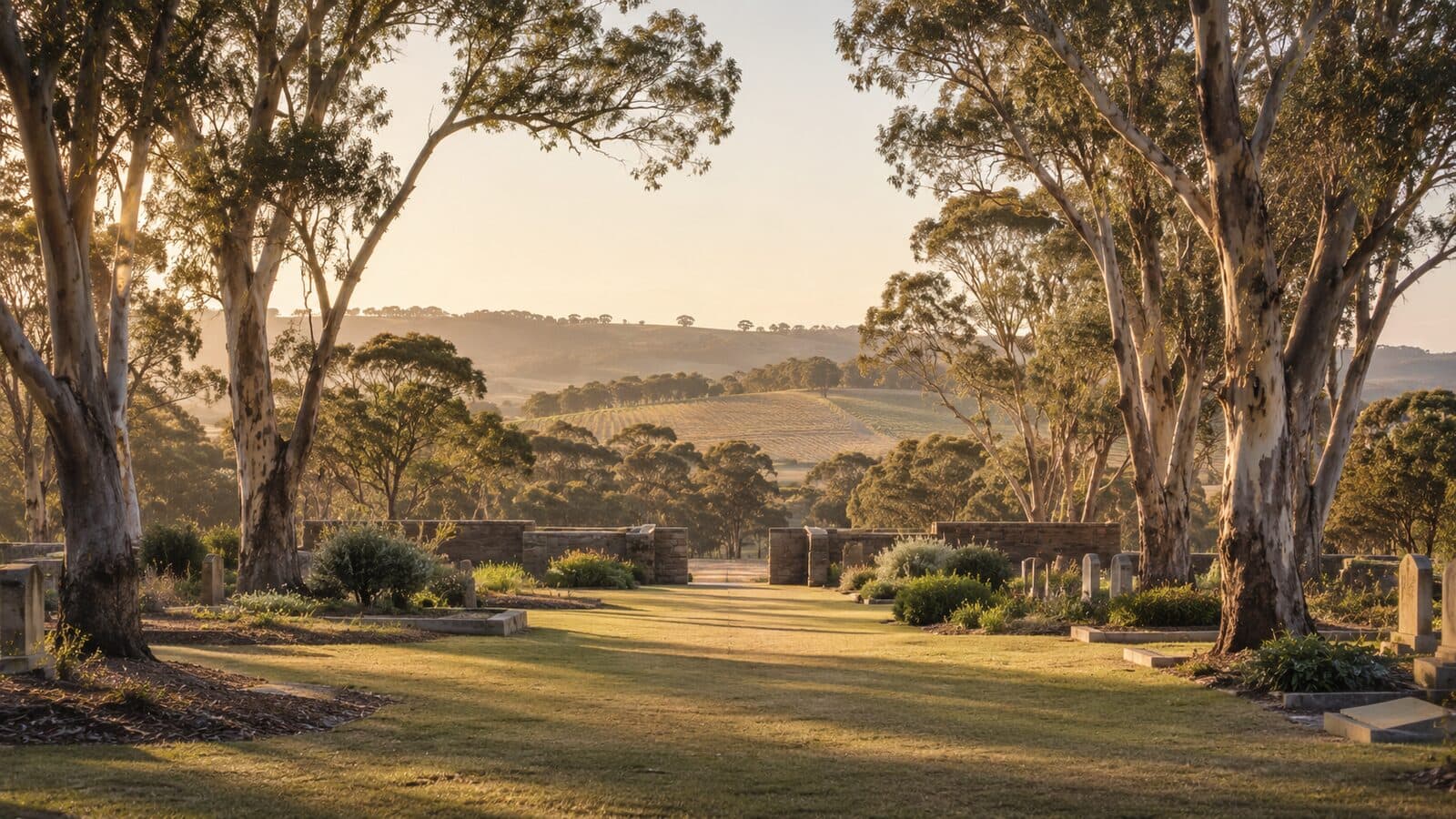 Funeral costs in South Australia: a bushland cemetery lawn at golden hour