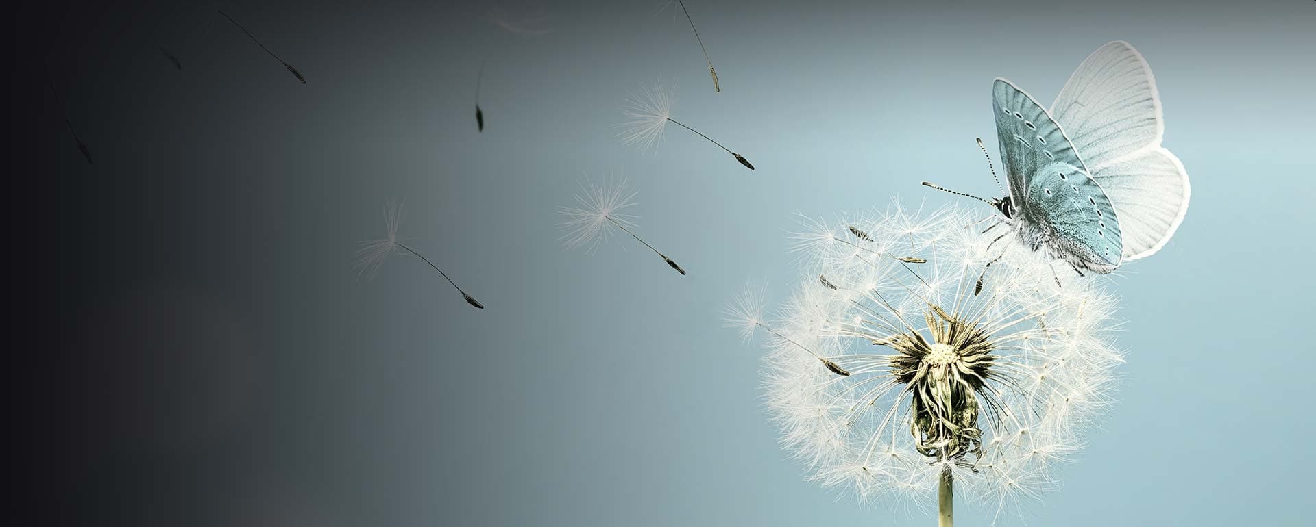 Affordable Cremations NSW premises