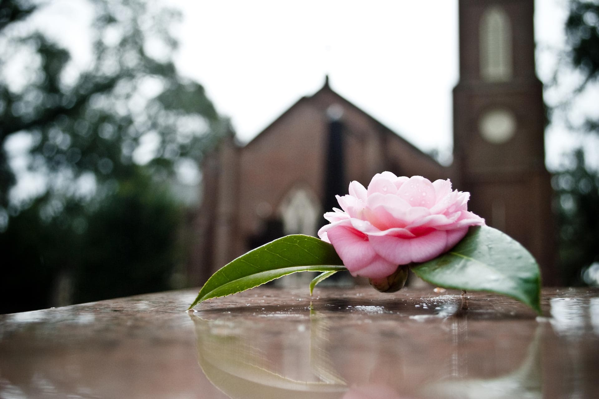 Syd Peek & Daughter Funeral Directors premises