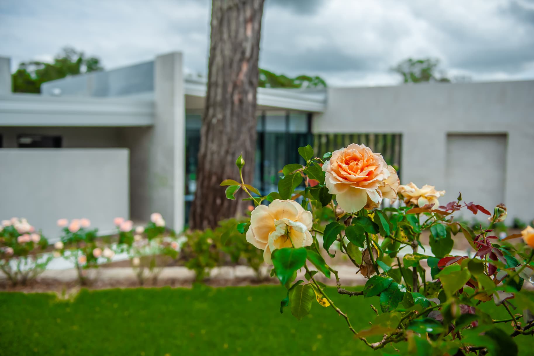Sydney Crematorium premises