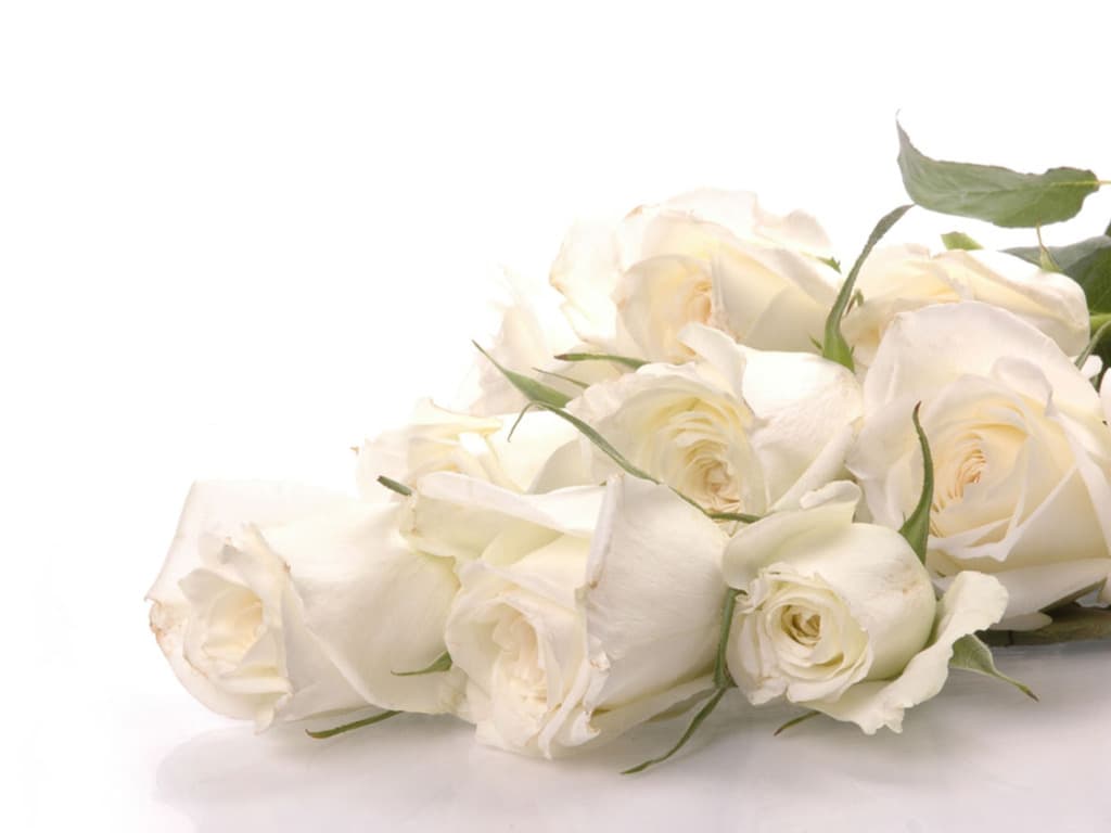 Phillip Stephens Funerals premises