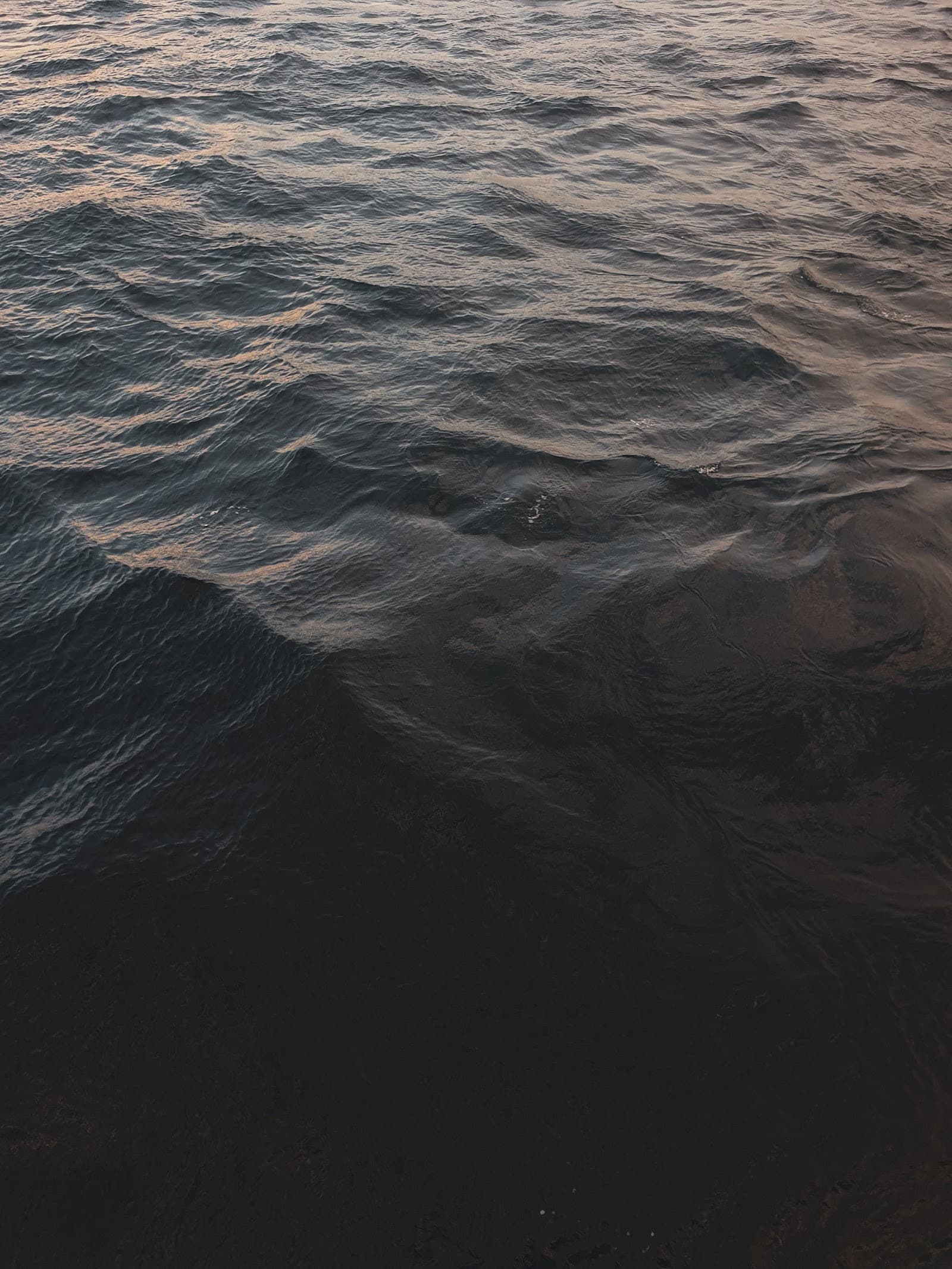 Alluvium Water Cremations premises