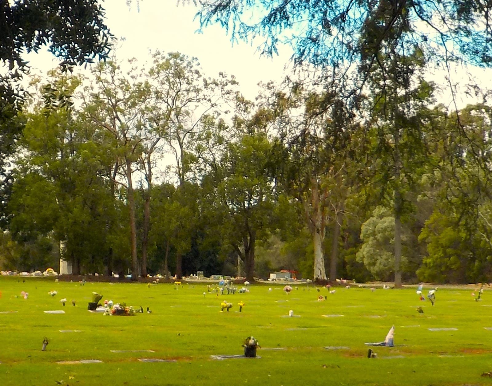 Mount Gravatt Cemetery and Crematorium premises