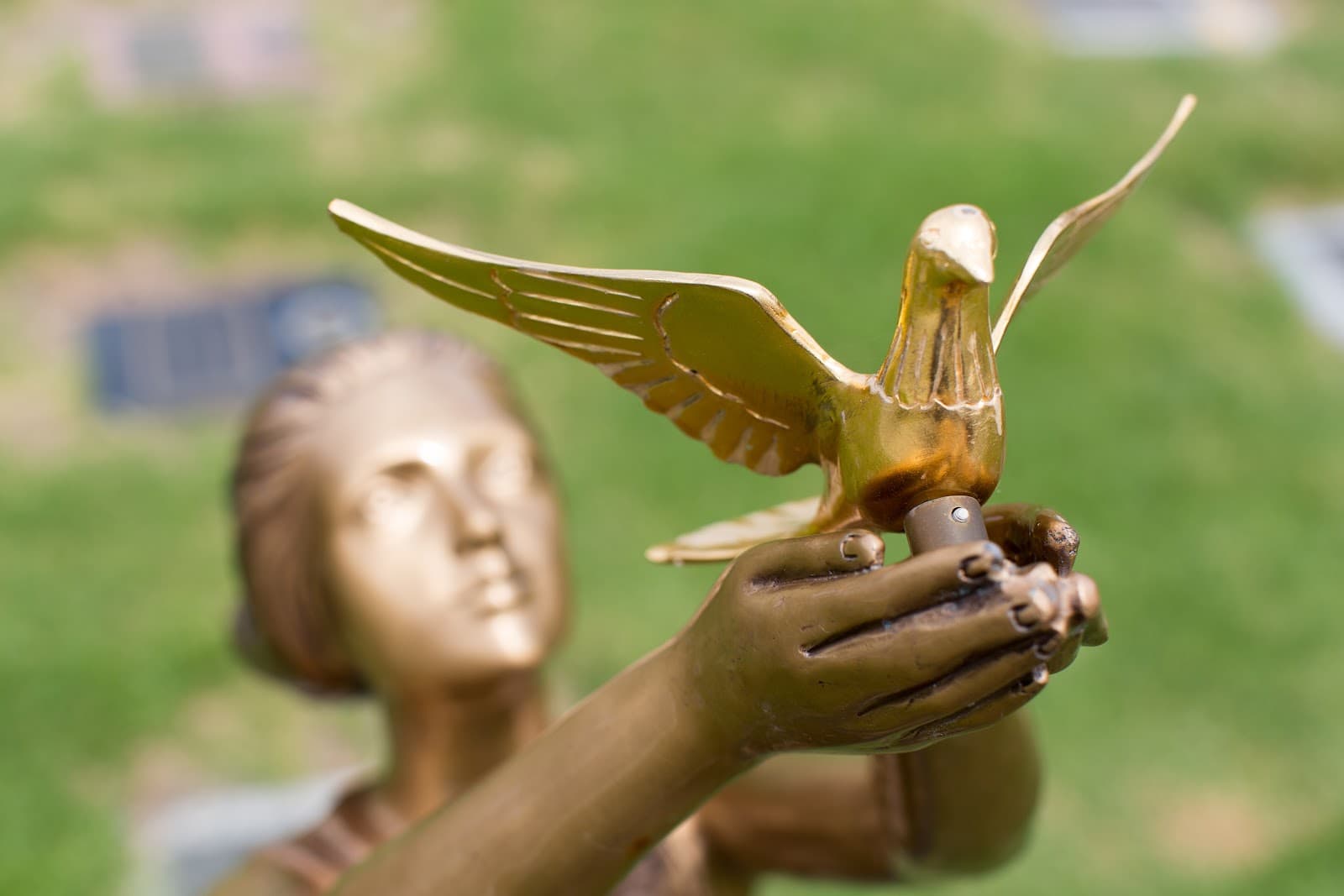 Templestowe Cemetery premises