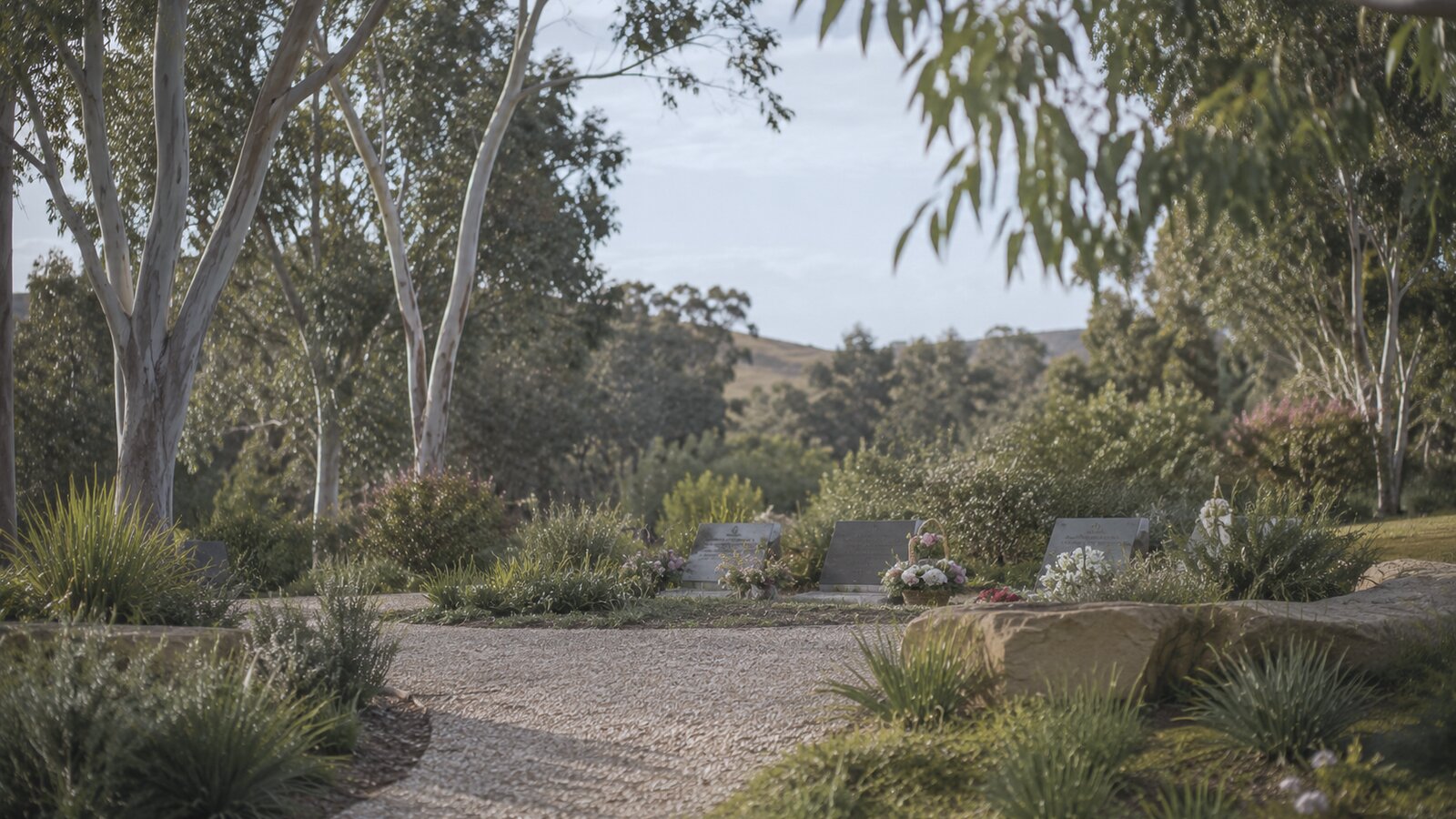 The first 24 hours after a death: a quiet Australian coastal path at first light