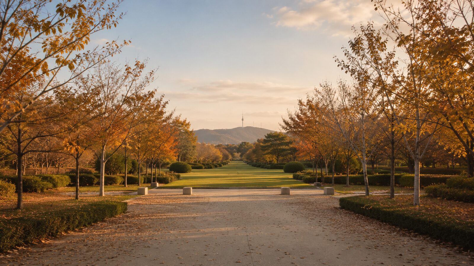 Funeral costs in the ACT: an autumn tree avenue at a memorial park entrance