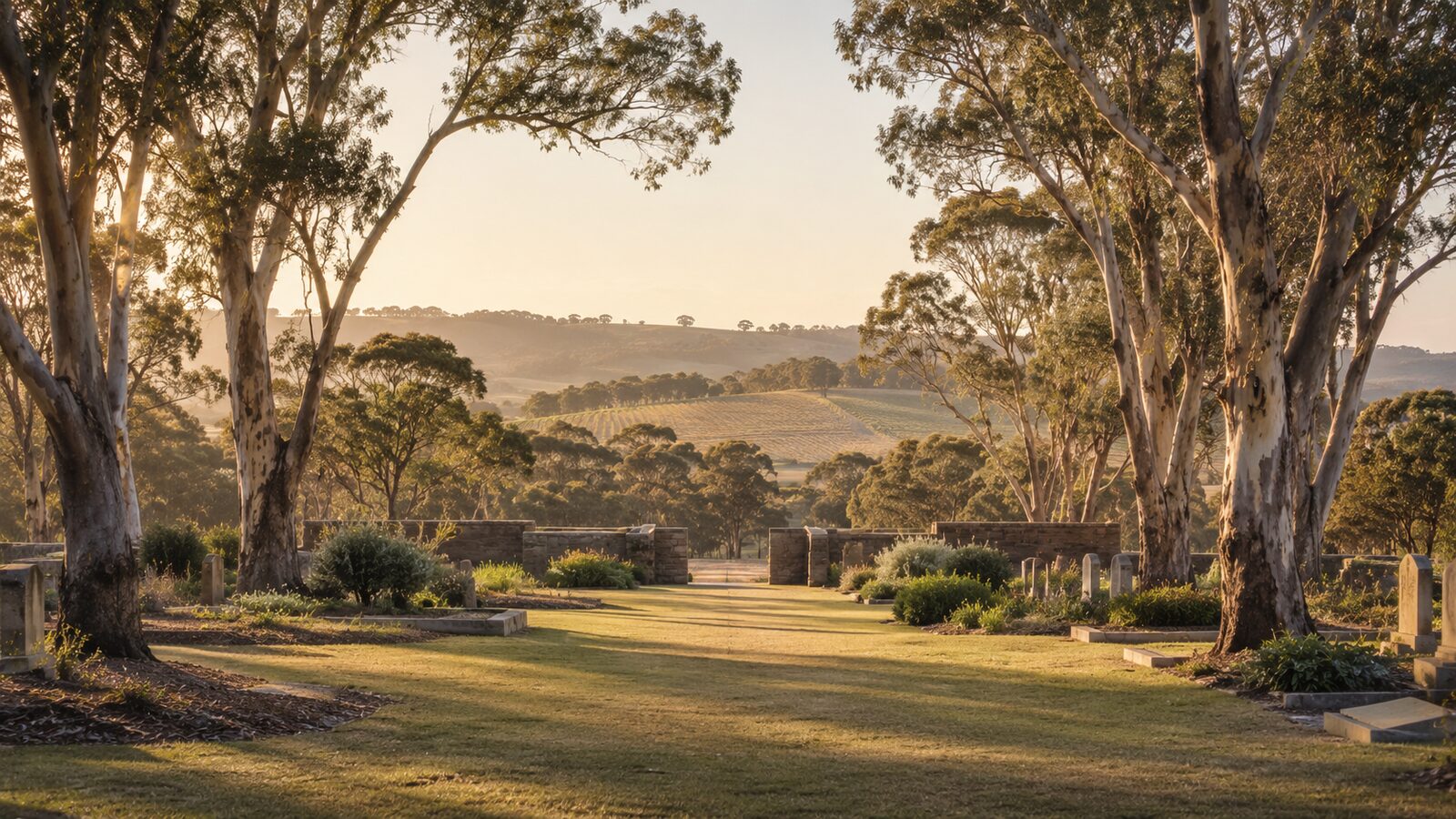 Funeral costs in South Australia: a bushland cemetery lawn at golden hour