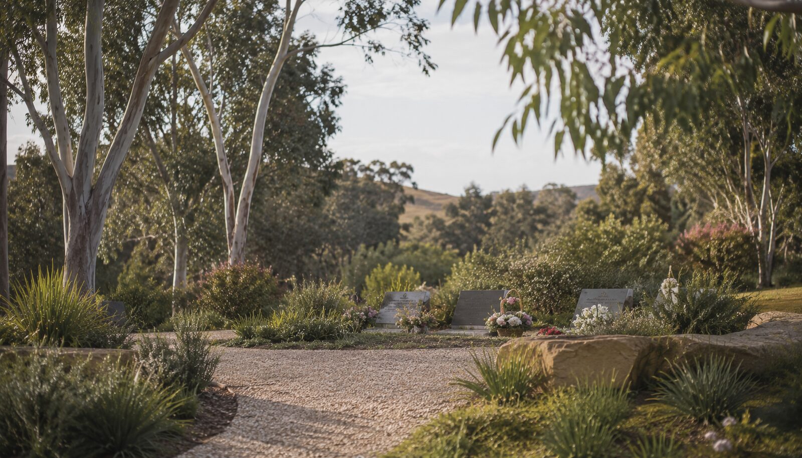 A quiet bushland memorial garden with native planting, a place for reflection